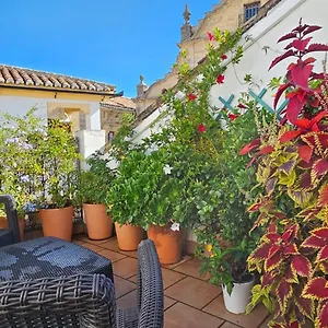 https://apartamentos-los-descalzos-angel.es-andalucia.com